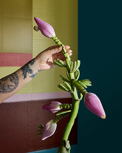 Mão feminina e tatuada segurando uma escultura floral nas cores da tendência para 2025. Ao fundo, parede pintada com paletas das cores tendência para 2025.